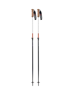 Adjustable Ski Poles