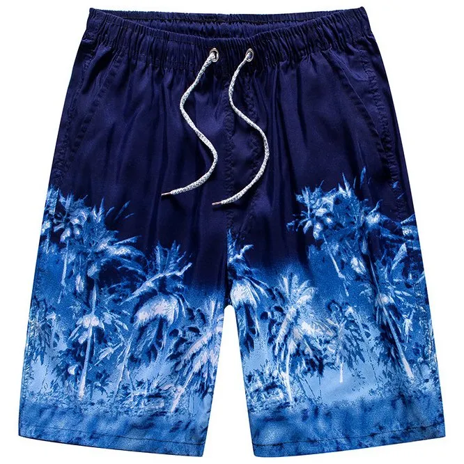 Casual Outdoor Quick Dry Printing Beach Pants Shorts