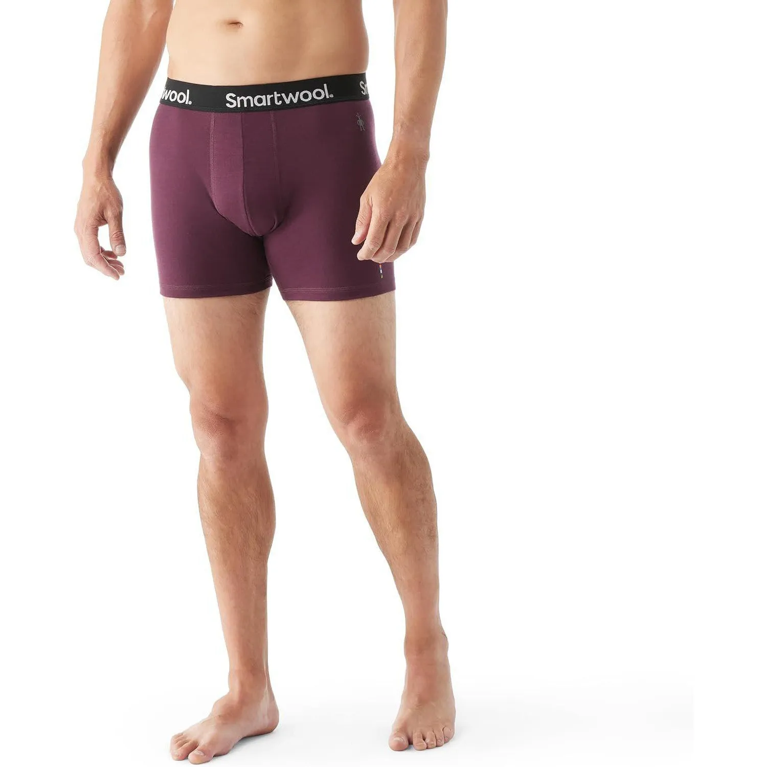 Smartwool Men's Everyday Merino Wool Boxer Brief Boxed (Slim Fit)