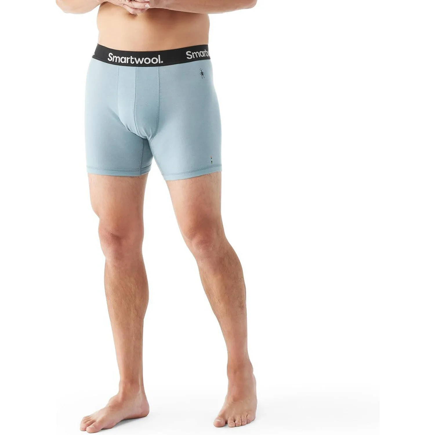 Smartwool Men's Everyday Merino Wool Boxer Brief Boxed (Slim Fit)