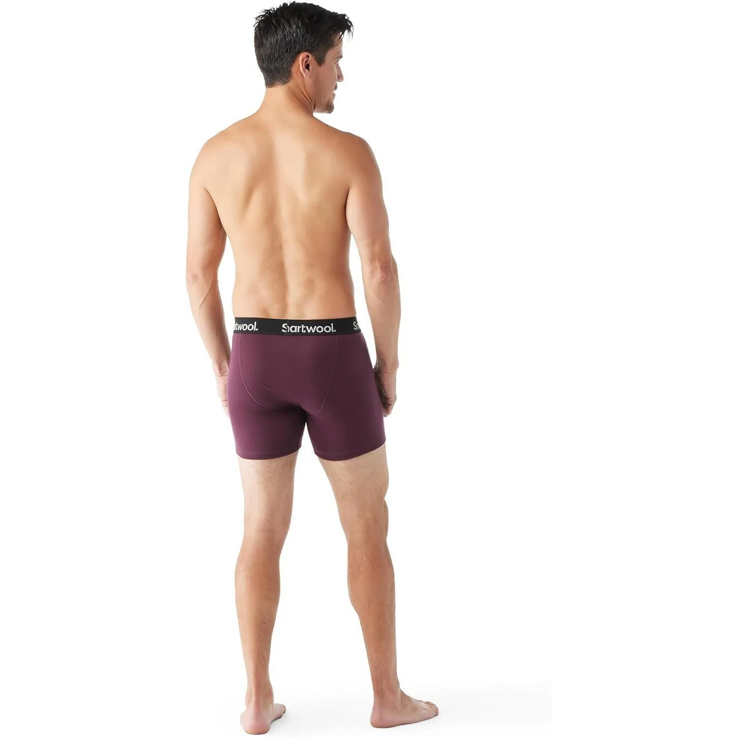 Smartwool Men's Everyday Merino Wool Boxer Brief Boxed (Slim Fit)