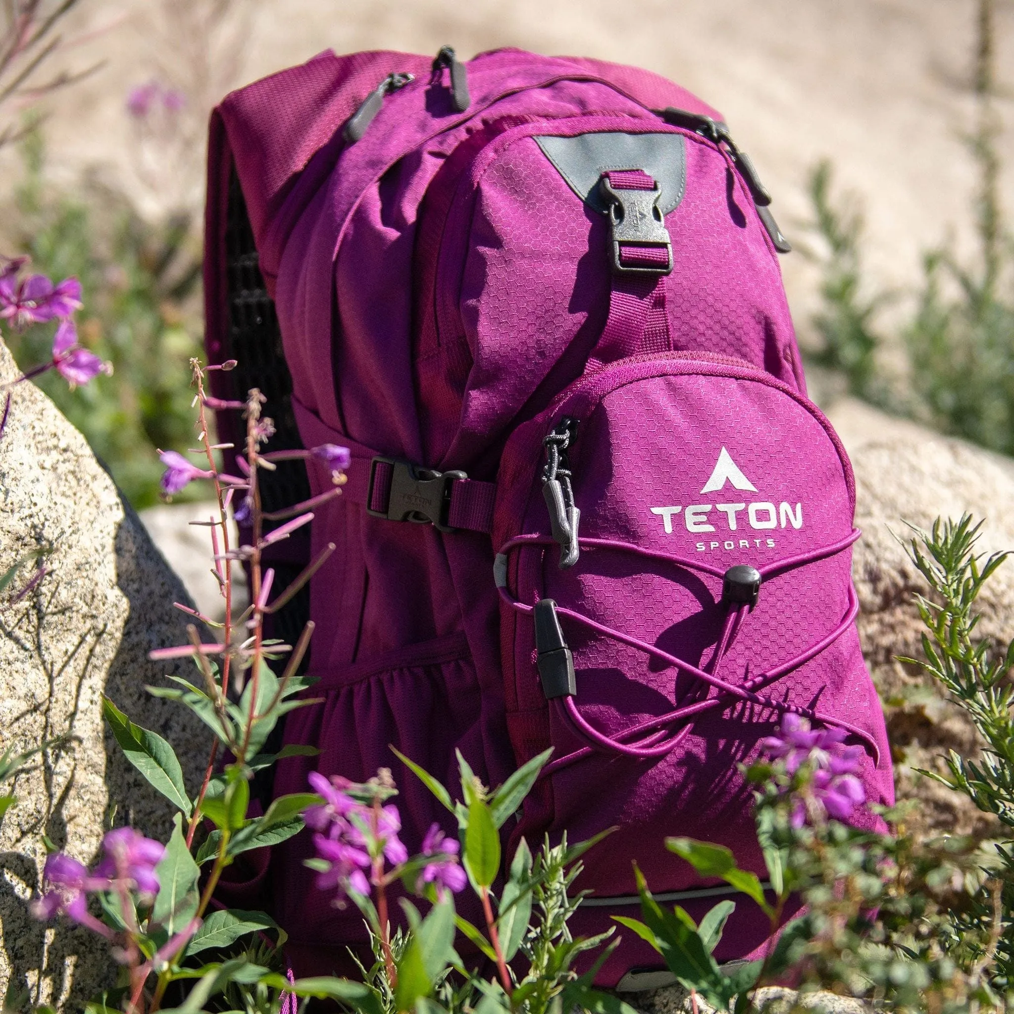 Teton Sports Oasis 18l Hydration Daypack with 2l Bladder in Plum