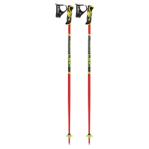 WorldCup Lite SL 3D Ski Poles